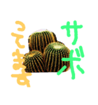 試作いろいろ（個別スタンプ：2）