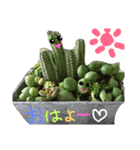 試作いろいろ（個別スタンプ：5）