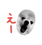 fuwafuwaponchan（個別スタンプ：7）