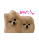 fuwafuwaponchan（個別スタンプ：8）