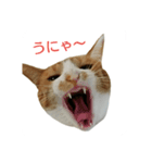 むぎトム2（個別スタンプ：3）