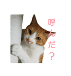 むぎトム2（個別スタンプ：7）