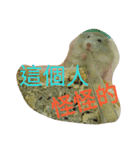 cute mice daily（個別スタンプ：3）