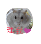 cute mice daily（個別スタンプ：7）
