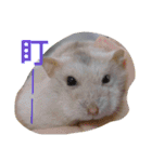 cute mice daily（個別スタンプ：15）