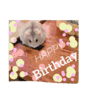 cute mice daily（個別スタンプ：28）