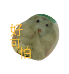 cute mice daily（個別スタンプ：32）