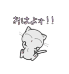 しろいにゃんとぐれいにゃん ごあいさつ（個別スタンプ：1）
