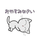 しろいにゃんとぐれいにゃん ごあいさつ（個別スタンプ：40）