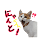 サスケと一緒（個別スタンプ：14）
