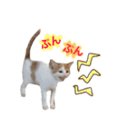 サスケと一緒（個別スタンプ：16）