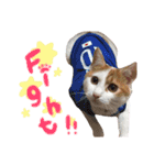 サスケと一緒（個別スタンプ：27）