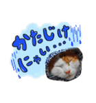 サスケと一緒（個別スタンプ：33）
