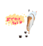 サスケと一緒（個別スタンプ：34）