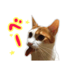 サスケと一緒（個別スタンプ：35）
