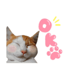 サスケと一緒（個別スタンプ：39）