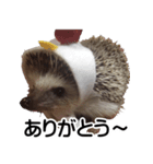 ハリネズミ イガちゃん 第二弾（個別スタンプ：7）