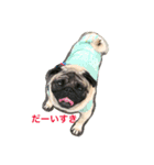 Pug ジン太とゲン太の日常（個別スタンプ：4）