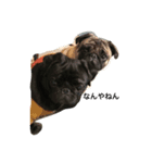 Pug ジン太とゲン太の日常（個別スタンプ：5）
