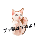 メルちゃん(デボンレックス)（個別スタンプ：8）