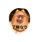 jujigai guys（個別スタンプ：2）