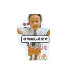 why did it only use English tittle（個別スタンプ：3）