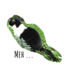 やる気ない猫ちゃん（個別スタンプ：7）