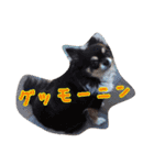 ロンちゃんと仲間たち（個別スタンプ：2）