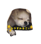 ロンちゃんと仲間たち（個別スタンプ：4）