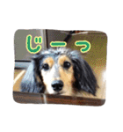 ロンちゃんと仲間たち（個別スタンプ：8）