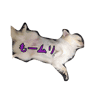 ロンちゃんと仲間たち（個別スタンプ：28）