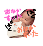 pinako's life 3（個別スタンプ：2）