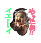 pinako's life 3（個別スタンプ：11）