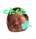 pinako's life 3（個別スタンプ：13）