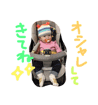 pinako's life 3（個別スタンプ：36）