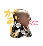 pinako's life 3（個別スタンプ：39）
