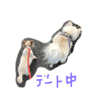 ZZ3（個別スタンプ：5）
