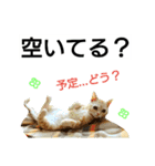 猫のあんずです⑩（個別スタンプ：9）