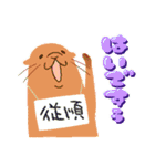 ながいねことなかまたち（個別スタンプ：12）