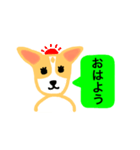 犬のまる  1 ／ まるMARU（個別スタンプ：1）