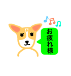 犬のまる  1 ／ まるMARU（個別スタンプ：3）