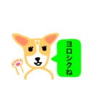 犬のまる  1 ／ まるMARU（個別スタンプ：5）