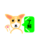 犬のまる  1 ／ まるMARU（個別スタンプ：6）