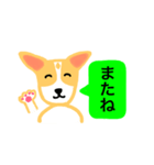 犬のまる  1 ／ まるMARU（個別スタンプ：8）