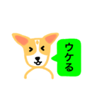 犬のまる  1 ／ まるMARU（個別スタンプ：9）