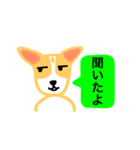 犬のまる  1 ／ まるMARU（個別スタンプ：11）