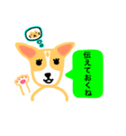 犬のまる  1 ／ まるMARU（個別スタンプ：14）