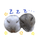 はむちゃんず〜2匹のシロクロ〜（個別スタンプ：1）