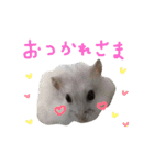 はむちゃんず〜2匹のシロクロ〜（個別スタンプ：12）