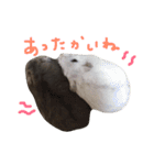 はむちゃんず〜2匹のシロクロ〜（個別スタンプ：13）